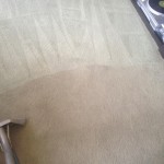 Carpet-Cleaning-Kent