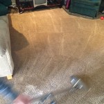 Dirty-Carpet-Cleaned-Kent