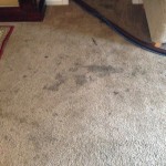 Dirty-Carpet-Kent-WA