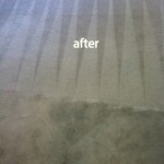Kent-Carpet-Cleaning-Carpet-Cleaning
