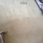 Kent-Carpet-Cleaning-Company