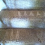 Kent-Stairs-Carpet-Cleaning