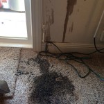 Oil-Stain-Removal-Before-Kent